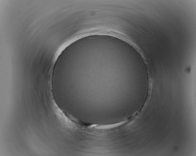 X0000111641530200907311239