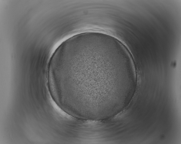 X0000111641531200907311239