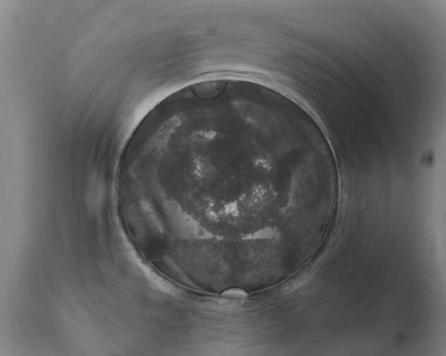 X0000111641533200907311239