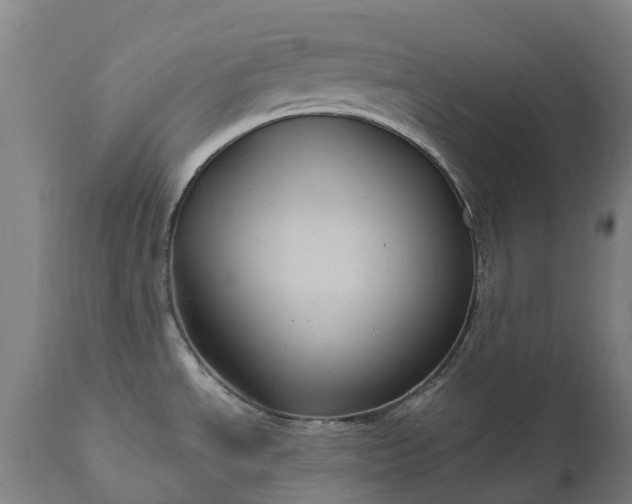 X0000111641534200907311239