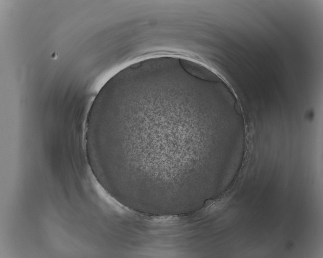 X0000111641535200907311239