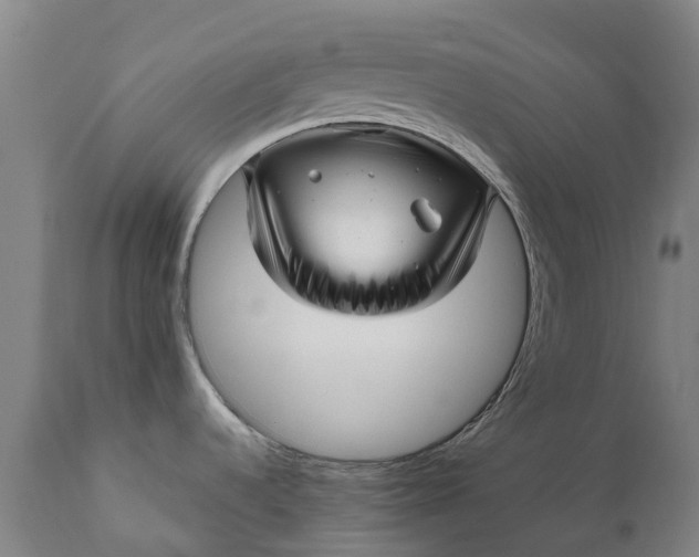 X0000111641536200907311239