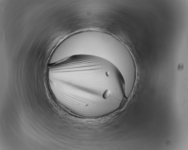 X0000111640001200908071354