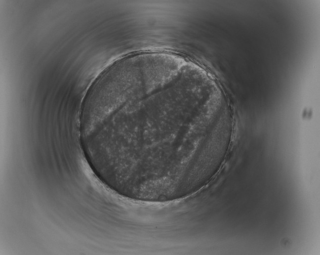 X0000111640002200908071354