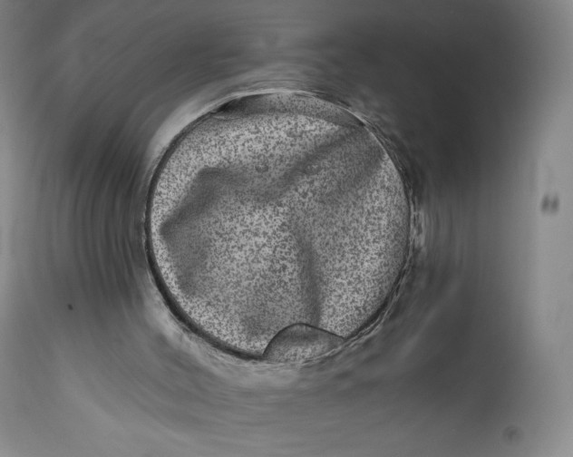X0000111640004200908071354