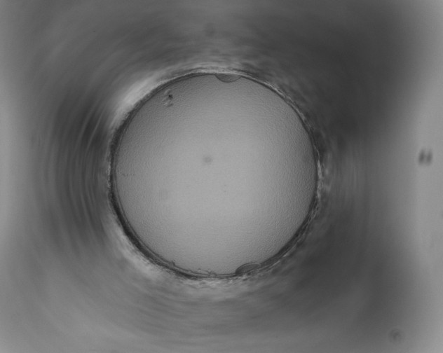 X0000111640005200908071354