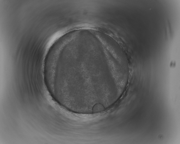 X0000111640006200908071354