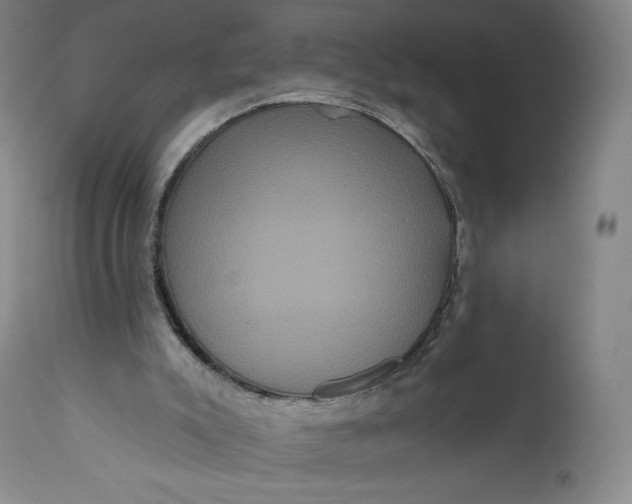 X0000111640007200908071354