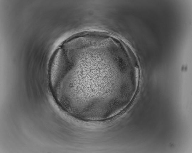 X0000111640008200908071354