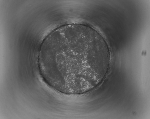 X0000111640010200908071354