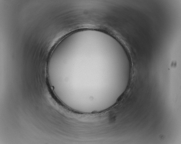 X0000111640011200908071354