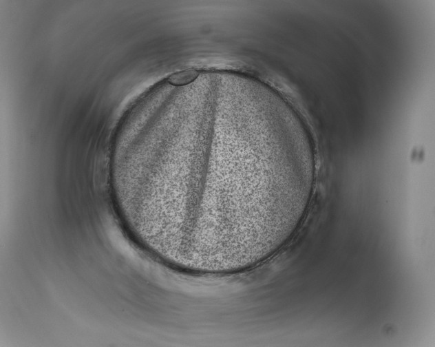 X0000111640012200908071354