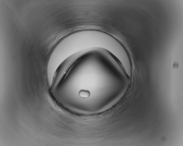 X0000111640013200908071354