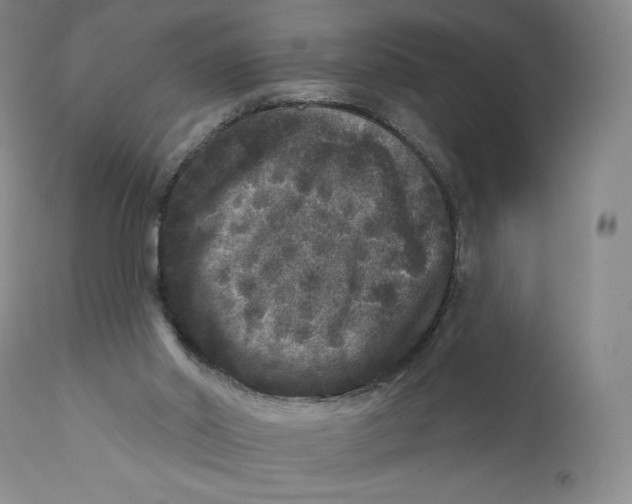 X0000111640014200908071354