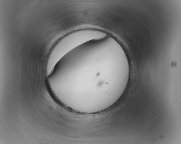 X0000111640015200908071354