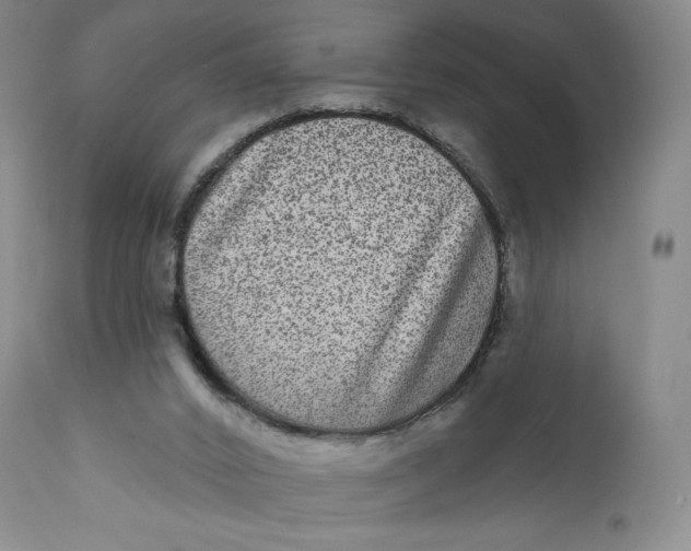 X0000111640016200908071354