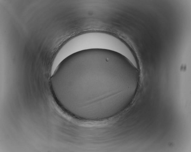 X0000111640017200908071354