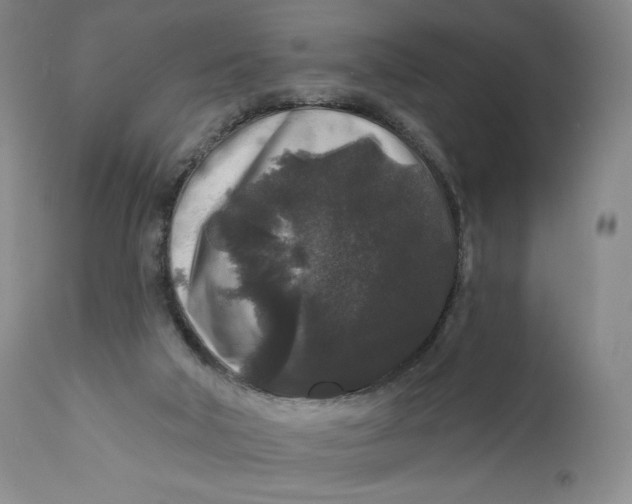 X0000111640018200908071354
