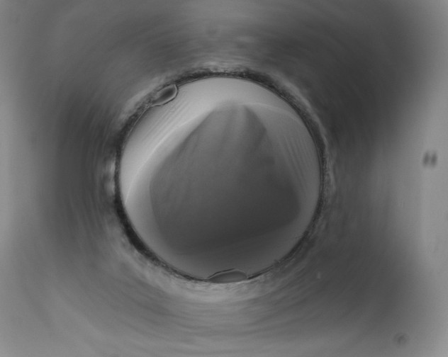 X0000111640019200908071354