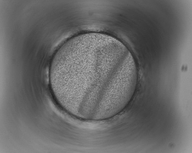 X0000111640020200908071354