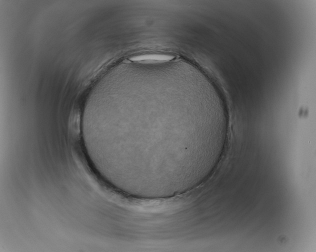 X0000111640021200908071354