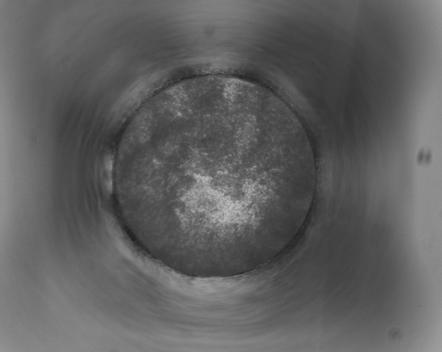 X0000111640022200908071354