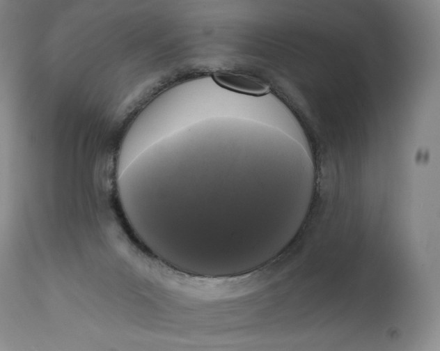 X0000111640023200908071354