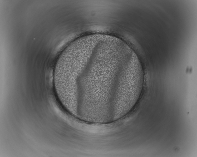 X0000111640024200908071354