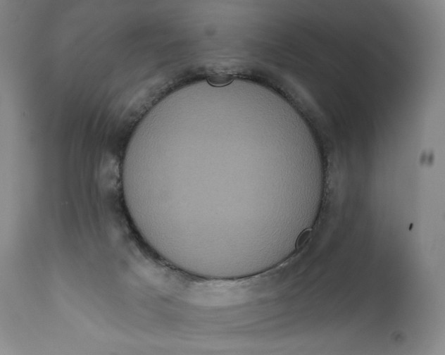 X0000111640025200908071353