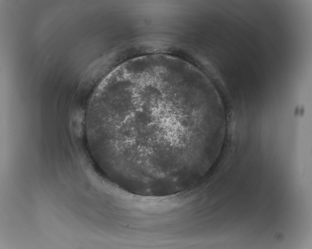 X0000111640026200908071353
