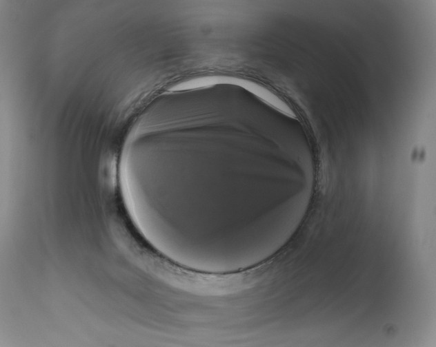 X0000111640027200908071353