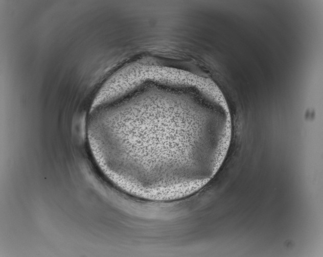 X0000111640028200908071353