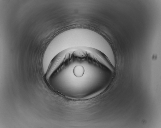 X0000111640029200908071353