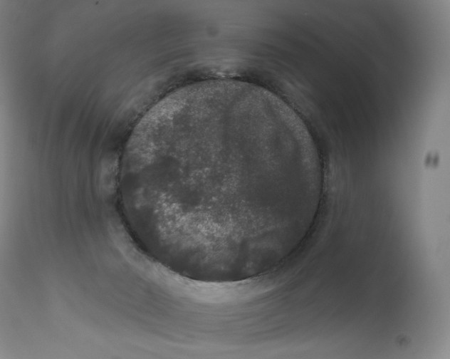 X0000111640030200908071353