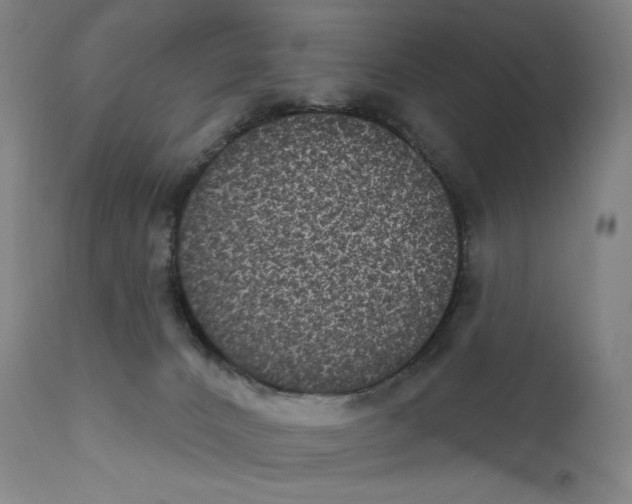 X0000111640032200908071353