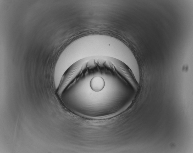 X0000111640033200908071353
