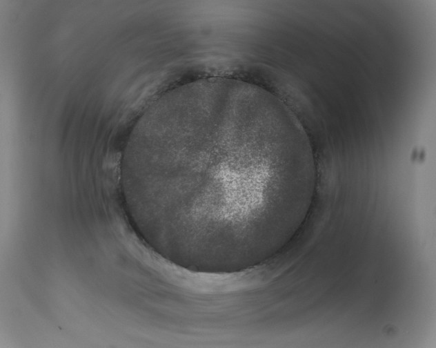 X0000111640034200908071353