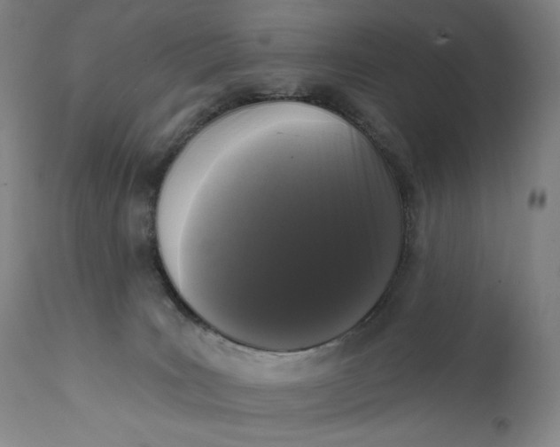 X0000111640035200908071353