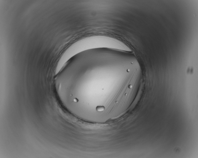 X0000111640036200908071353