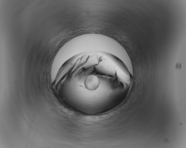 X0000111640037200908071353
