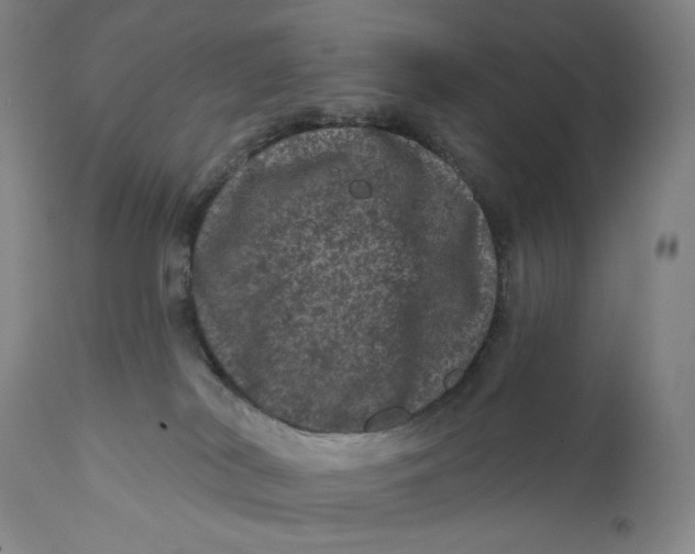 X0000111640038200908071353