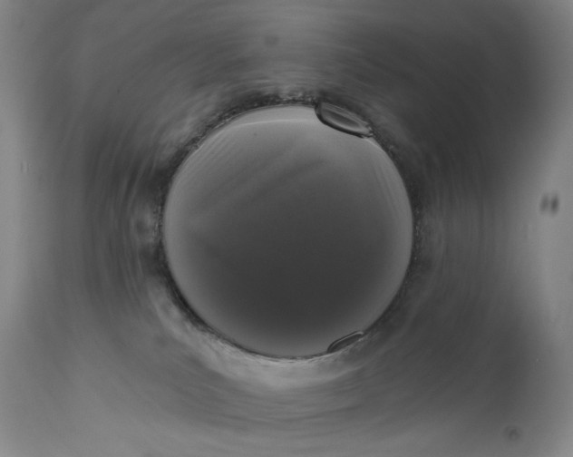 X0000111640039200908071353
