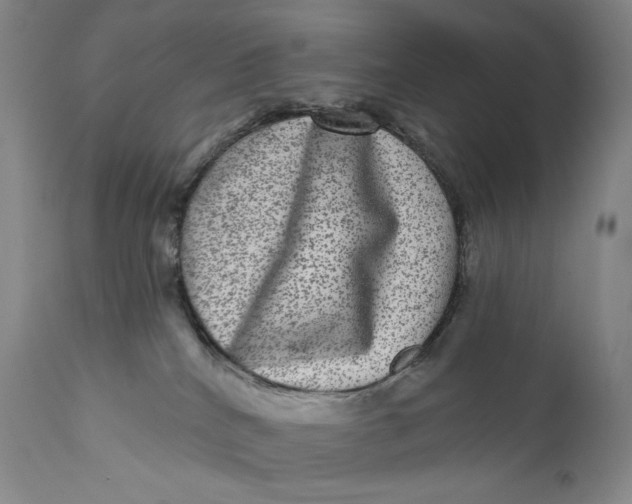X0000111640040200908071353