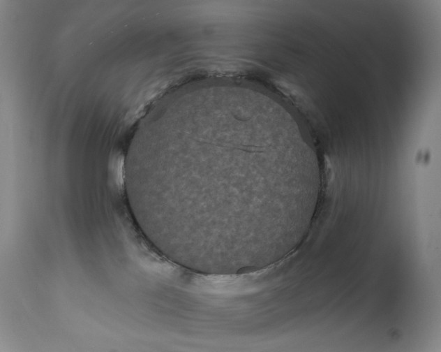 X0000111640041200908071353