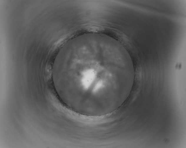 X0000111640043200908071353