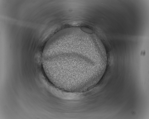 X0000111640044200908071353