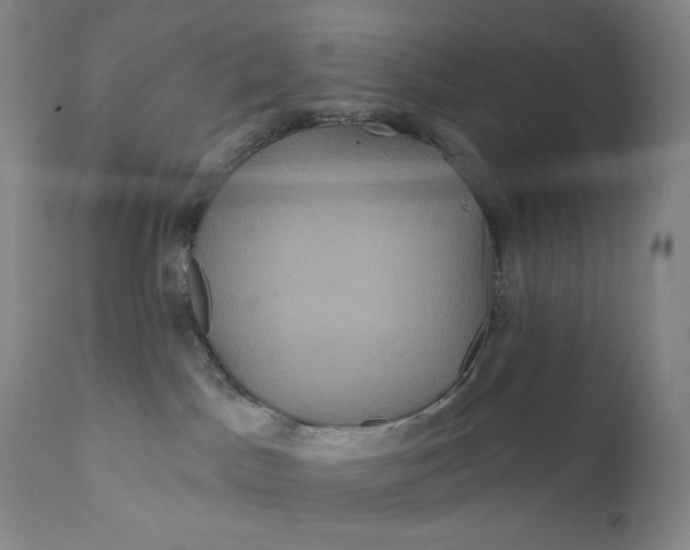 X0000111640045200908071353