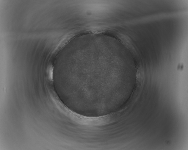 X0000111640046200908071353