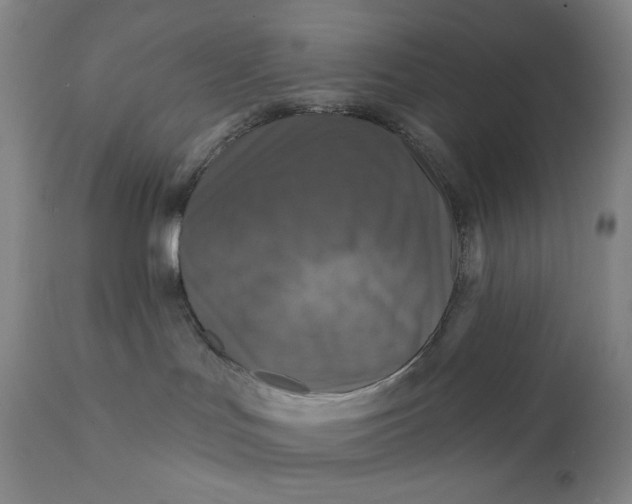 X0000111640047200908071353