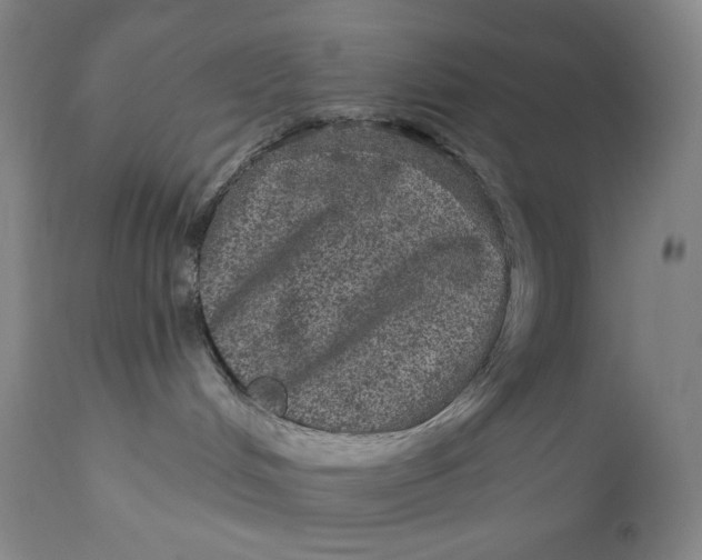 X0000111640048200908071353